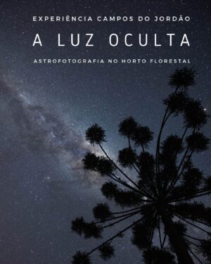 Experiência fotográfica A Luz Oculta - Astrofotografia no Horto Florestal em Campos do Jordão