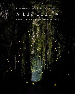 Imersão de final de ano - Vagalumes e Chuva de meteoros Geminídeas em São Bento do Sapucaí