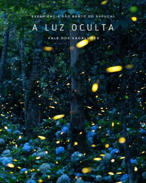 Imersão Vale dos Vagalumes em São Bento do Sapucaí